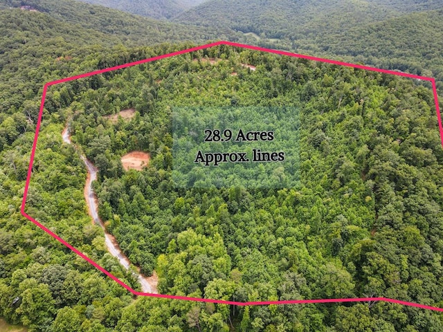 28.90AC Tom Wheeler Rd, Hiawassee GA, 30546 land for sale