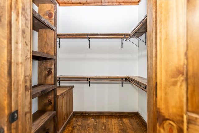 walk in closet with dark hardwood / wood-style flooring