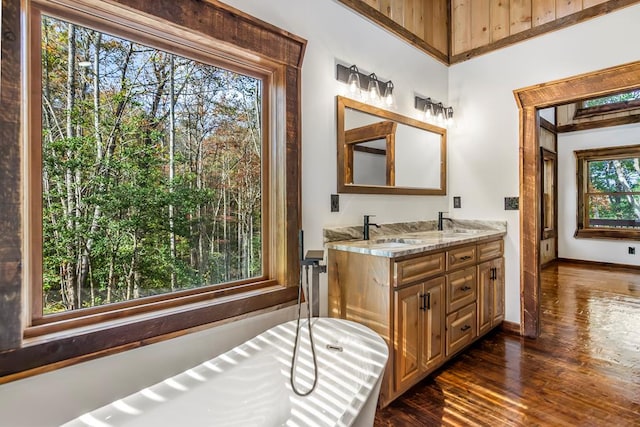 bathroom featuring hardwood / wood-style flooring, plenty of natural light, and vanity