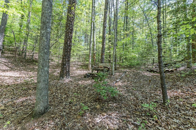 view of local wilderness with a wooded view