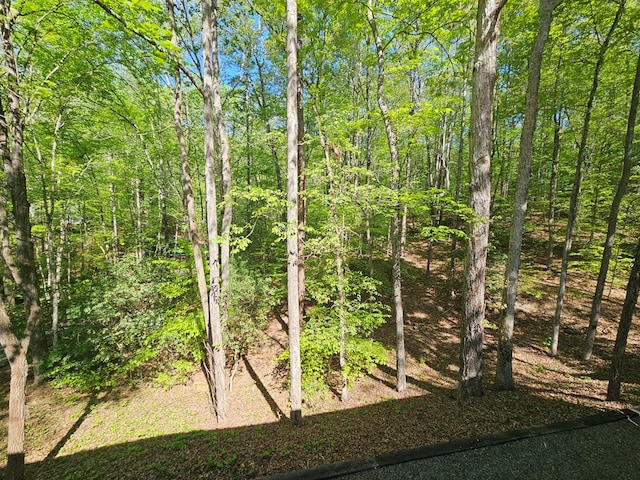 view of landscape