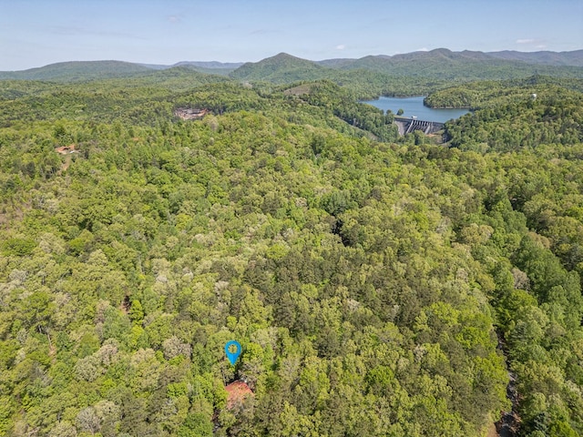 birds eye view of property featuring a water and mountain view and a view of trees
