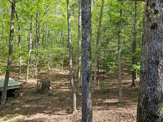 view of landscape featuring a forest view