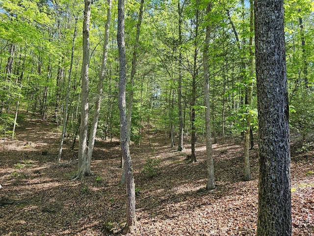 view of landscape