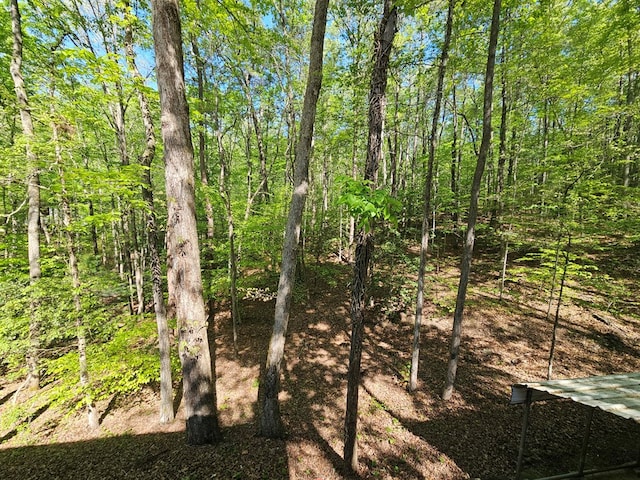 view of nature