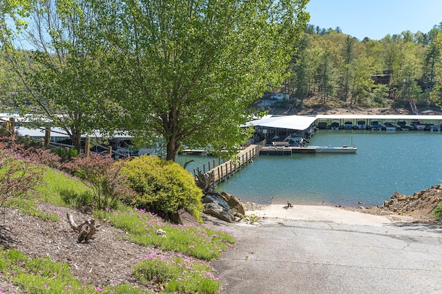 dock area featuring a water view