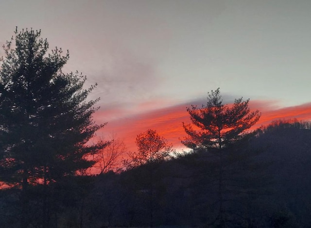 view of nature at dusk