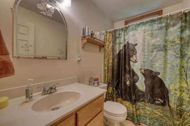 bathroom with vanity, toilet, and walk in shower