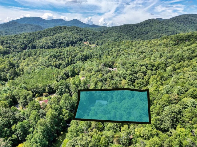 aerial view with a mountain view