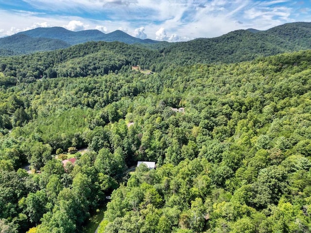 drone / aerial view featuring a mountain view