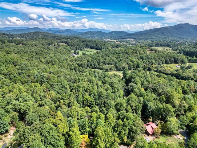 birds eye view of property featuring a mountain view