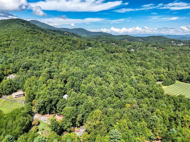 drone / aerial view with a mountain view