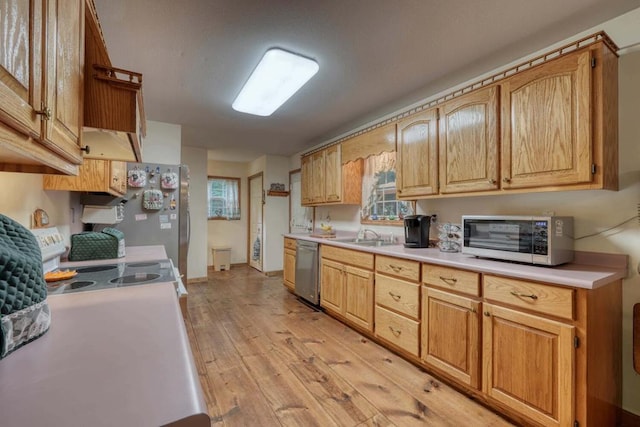 kitchen featuring white appliances, sink, and light hardwood / wood-style floors