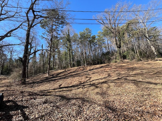 59 Bradley St, Blue Ridge GA, 30513 land for sale