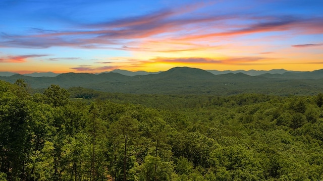 mountain view featuring a wooded view