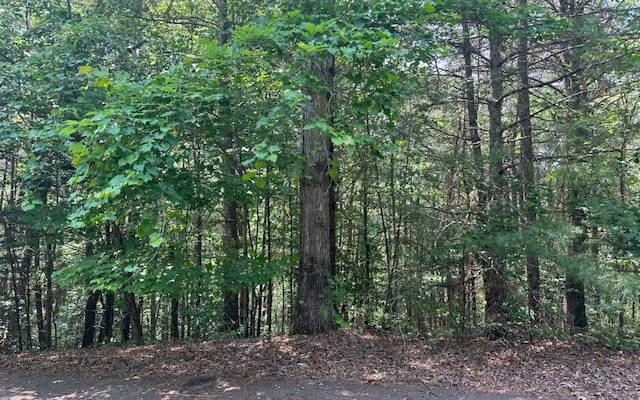 LOT28 Aspen Ave, Ellijay GA, 30540 land for sale