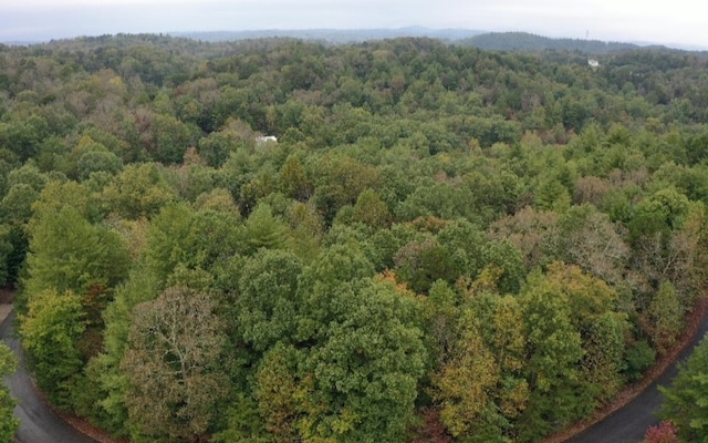 Listing photo 2 for LOT28 Aspen Ave, Ellijay GA 30540