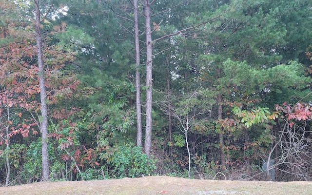 Listing photo 3 for LOT28 Aspen Ave, Ellijay GA 30540