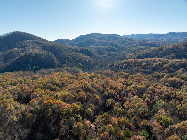 property view of mountains