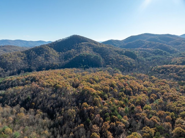 property view of mountains