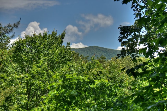 property view of mountains