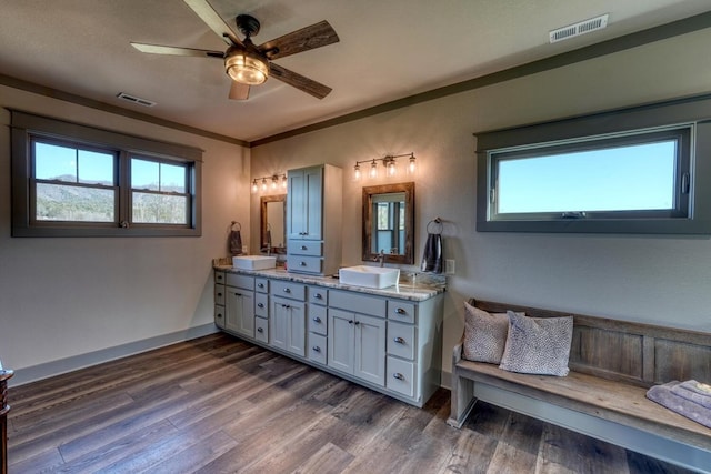 bathroom with hardwood / wood-style flooring, vanity, plenty of natural light, and ornamental molding