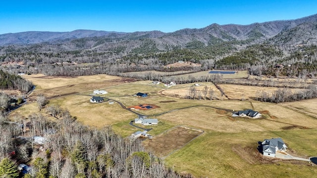 birds eye view of property with a mountain view