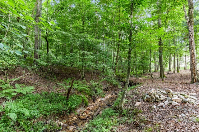 view of nature with a forest view