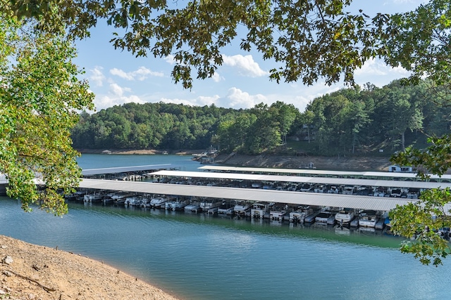 249 Whispering Pine Trl, Murphy, NC 28906 - dock featuring a water view and a view of trees