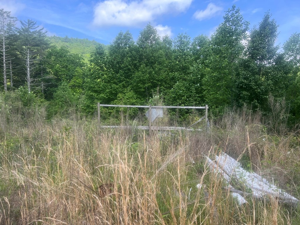 LOT104 Ashe Ct, Ellijay, GA 30540