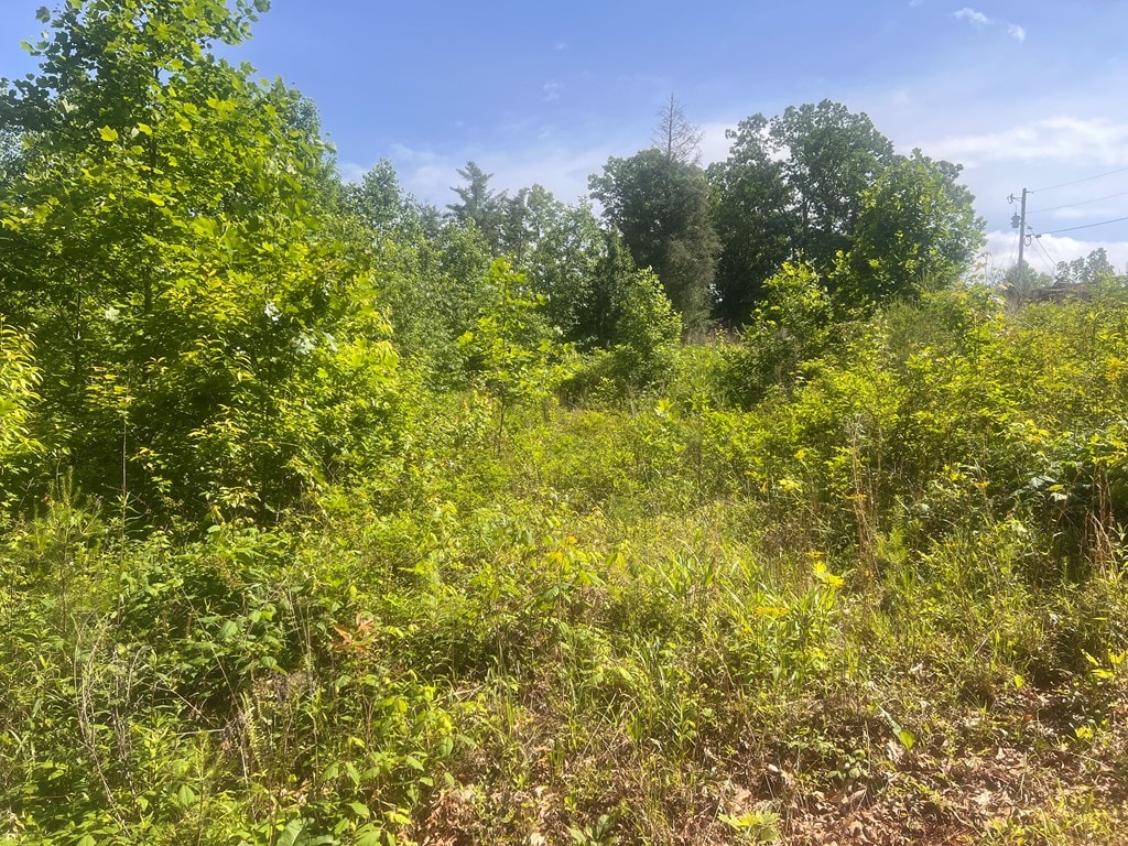 LOT104 Ashe Ct, Ellijay, GA 30540