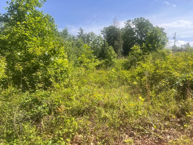 LOT104 Ashe Ct, Ellijay, GA 30540