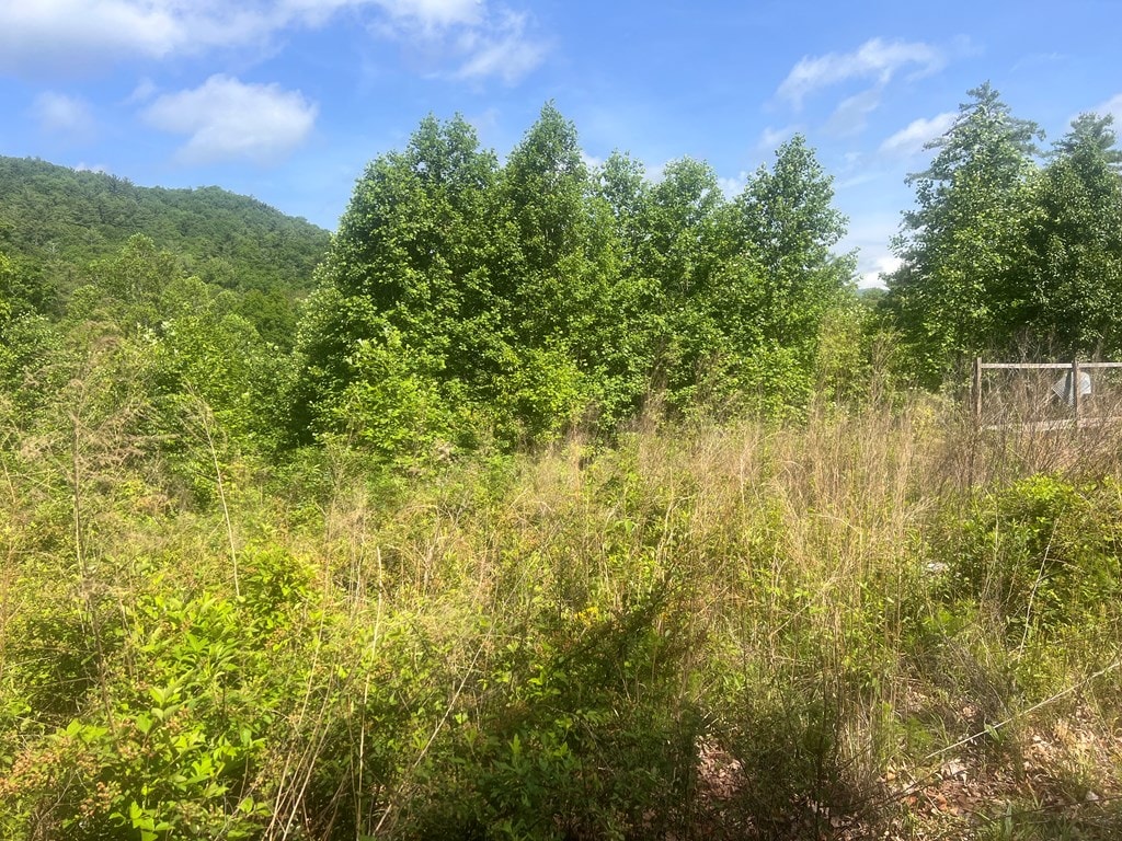 LOT104 Ashe Ct, Ellijay, GA 30540