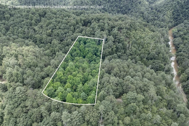 LOT1687 Shade Tree Dr, Talking Rock GA, 30534 land for sale