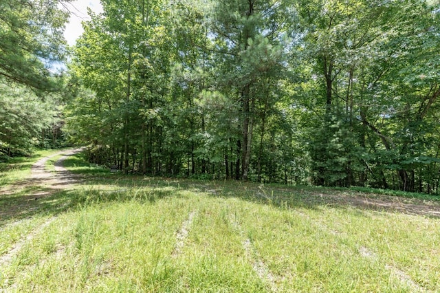 Listing photo 2 for LOT1687 Shade Tree Dr, Talking Rock GA 30534