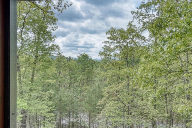 view of nature featuring a view of trees