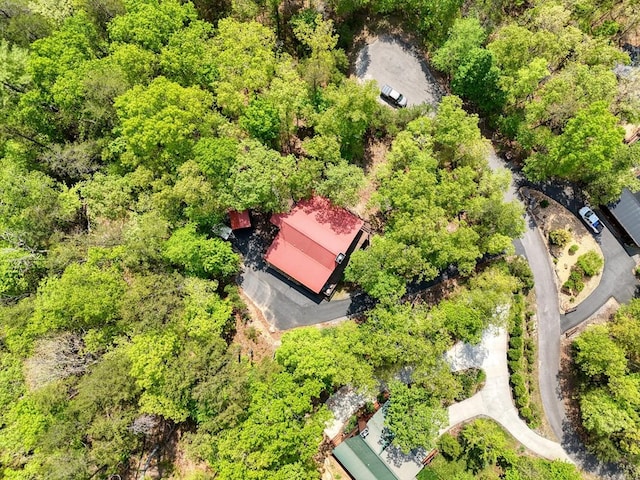 aerial view