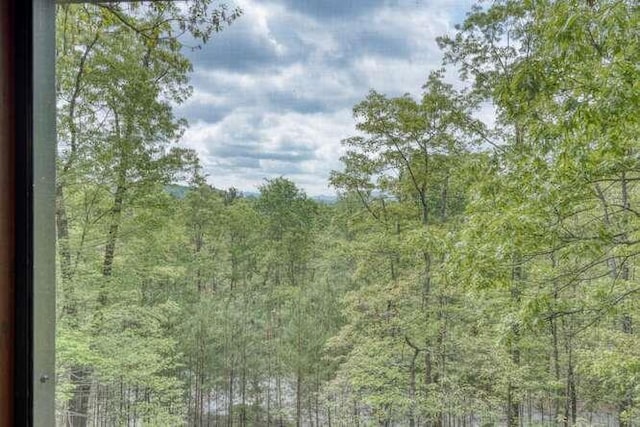 view of local wilderness with a forest view