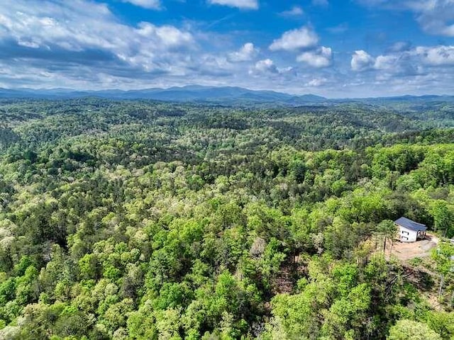 bird's eye view featuring a wooded view and a mountain view