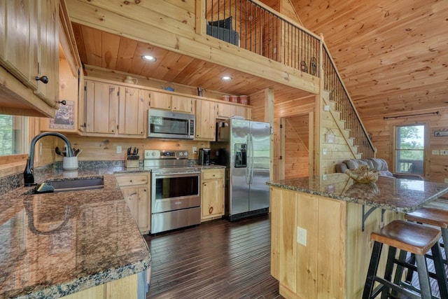 kitchen featuring plenty of natural light, a sink, appliances with stainless steel finishes, and wooden walls