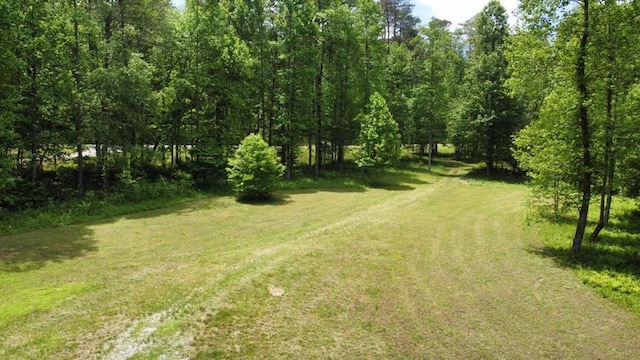 TRACT2 Timber Ridge Rd, Blairsville, GA 30512