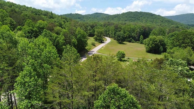 TRACT2 Timber Ridge Rd, Blairsville, GA 30512