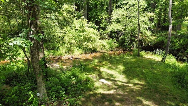 TRACT2 Timber Ridge Rd, Blairsville, GA 30512