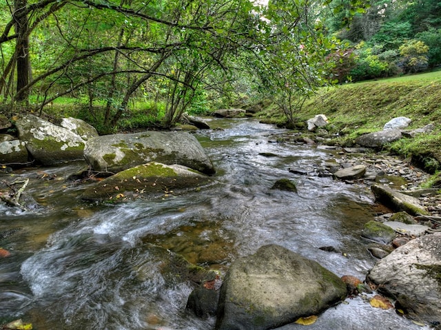 view of nature with a wooded view