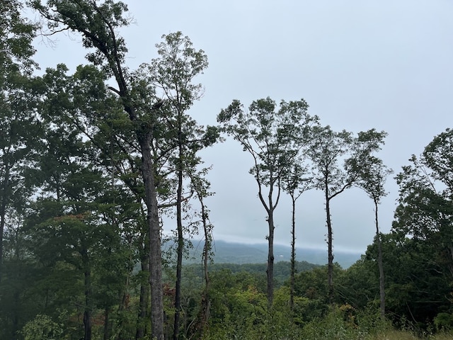 Listing photo 2 for LOT244 Mountain High Dr, Mineral Bluff GA 30559