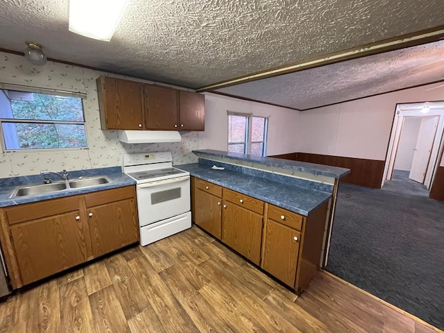 kitchen with sink, hardwood / wood-style flooring, a textured ceiling, white electric stove, and kitchen peninsula