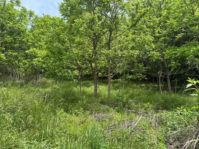 LOT3 Still Meadows Ct, Young Harris, GA 30582