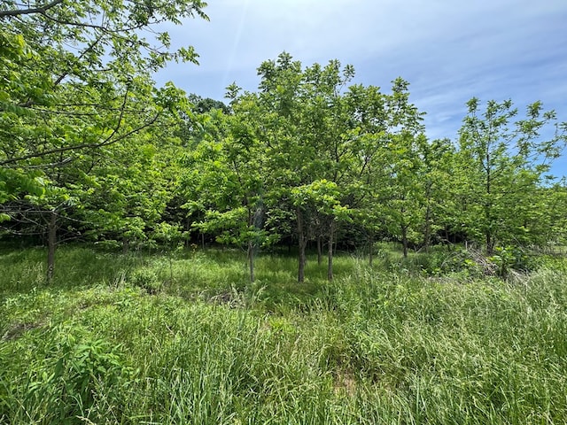 LOT3 Still Meadows Ct, Young Harris, GA 30582