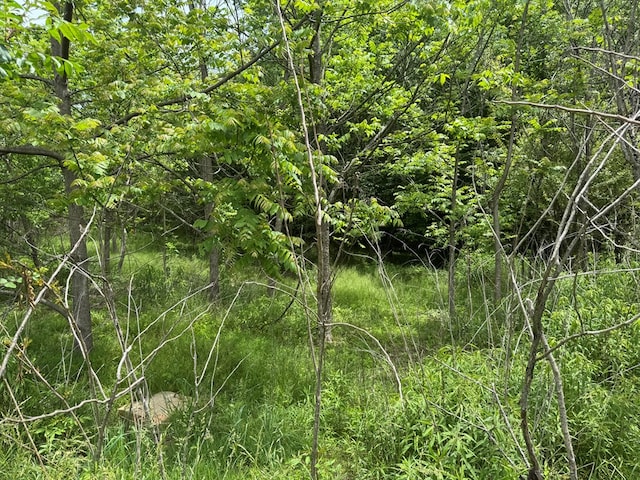LOT3 Still Meadows Ct, Young Harris, GA 30582