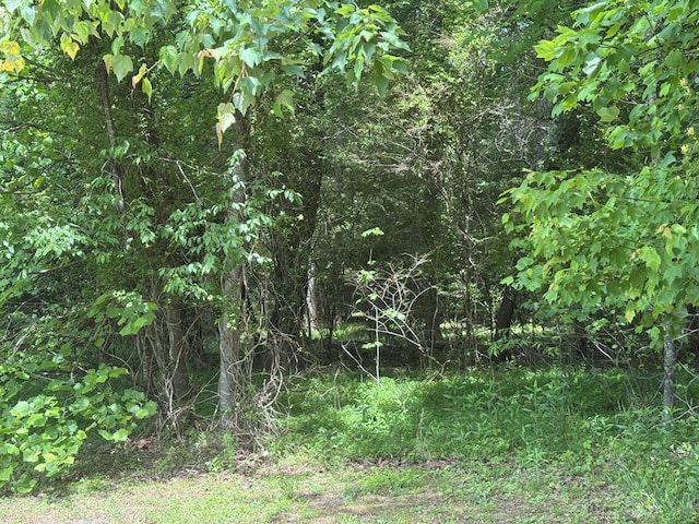 LOT3 Still Meadows Ct, Young Harris, GA 30582